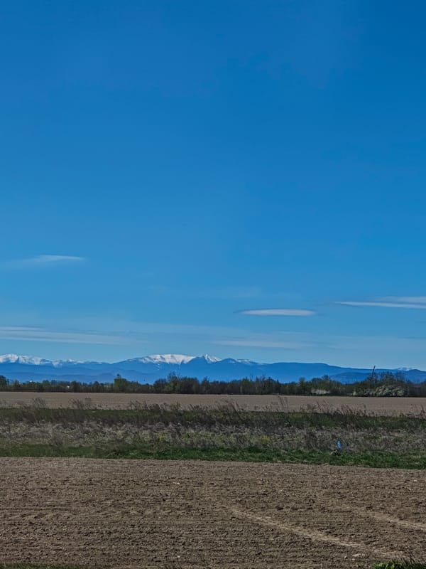 Clear skies over rural Cherniiv farmland documented Monday morning