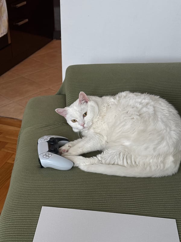 Cat and gamer relax together in Serbian home