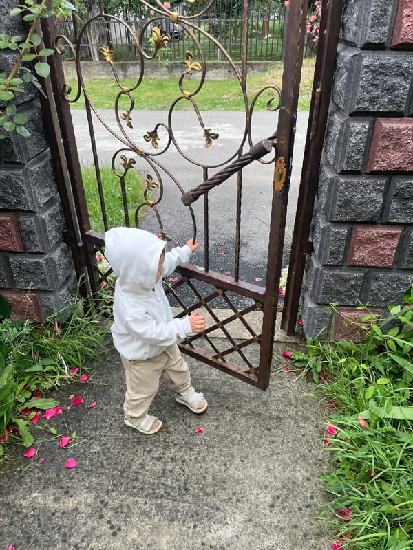 Morning life captured in Ukrainian village: children, toys, gardens