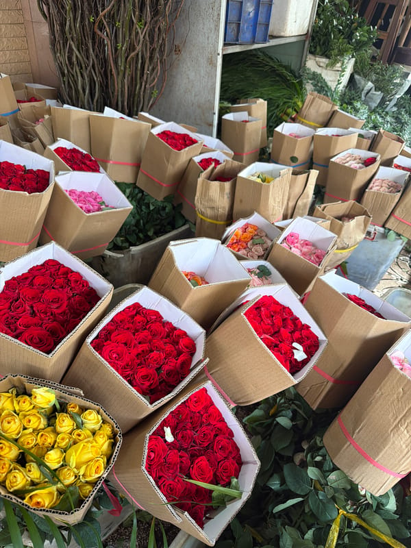 Morning flower market bustles with rose vendors in Nha Trang