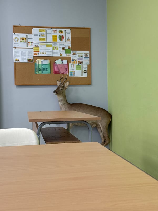 Taxidermied deer head spotted in Haskovo office space