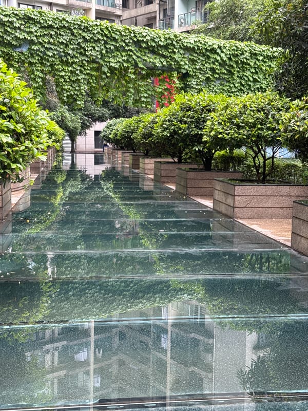 Routine retail and dining activity documented across Jinjiang District