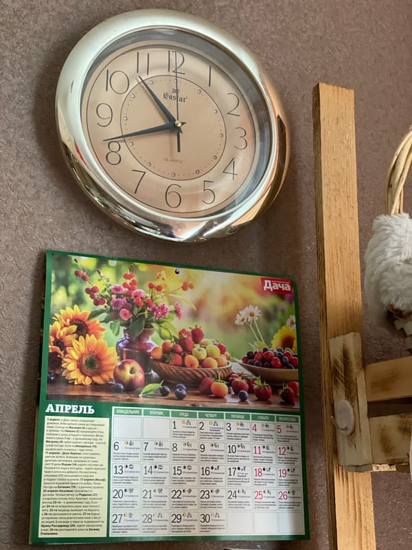 Domestic moments captured in Zheleznogorsk home during morning hours