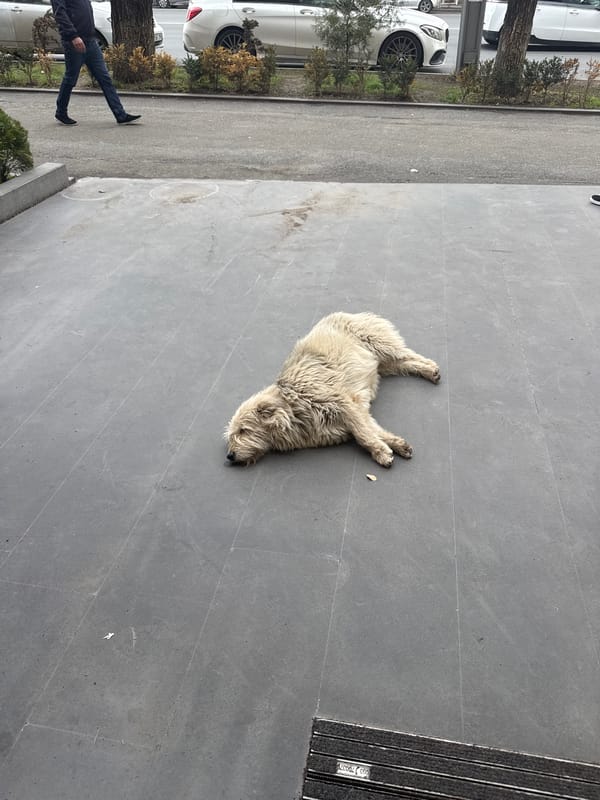 Ordinary afternoon moments documented across Yerevan, Armenia