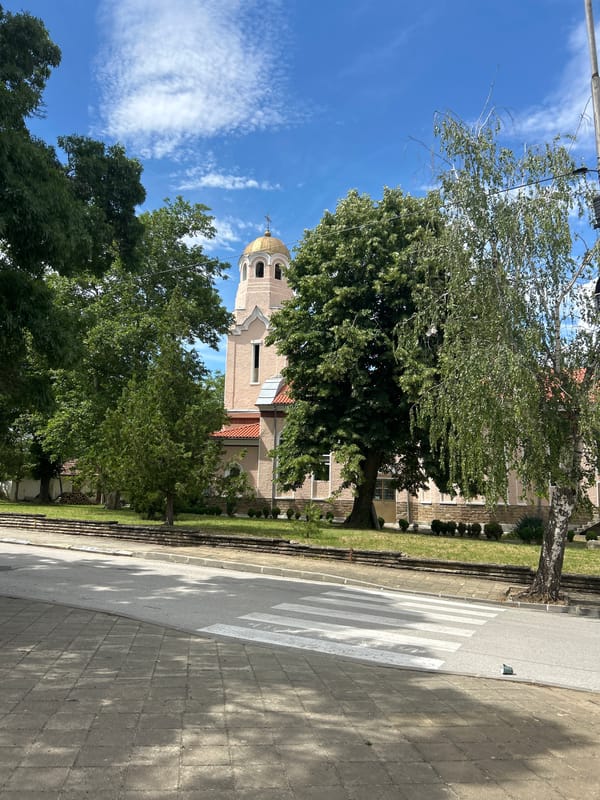 Clear-day snapshots in a tree-lined park setting