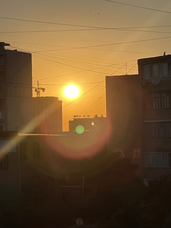 A lazy afternoon in Aktau — cats, sunsets, and street life