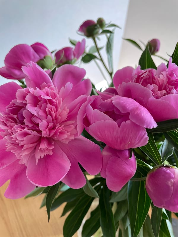 Ordinary Saturday afternoon documented across Chaikovsky, Russia in spring