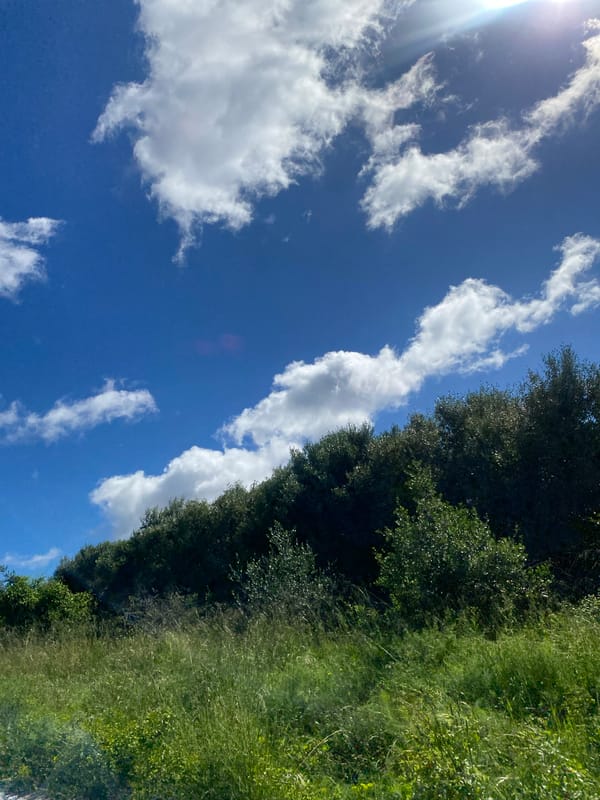 Morning drive through Sant Feliu de Codines under sunny skies
