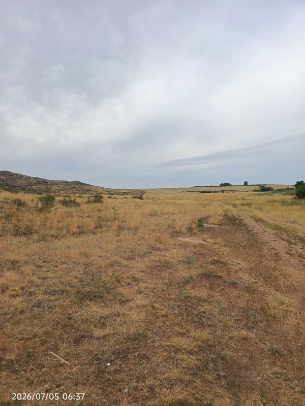 Dry grassland and calm water under an overcast sky