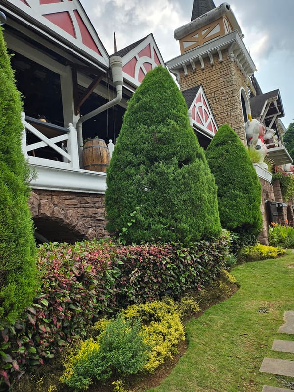 Tourist attractions documented in Indonesia's Megamendung-Cisarua region