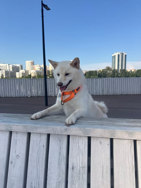 Dogs and dancers on Yekaterinburg's Iset River promenade