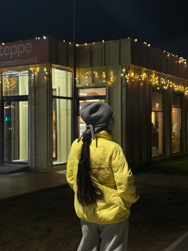 Evening illumination observed at Kokshetau commercial district