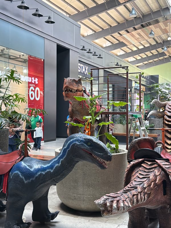 Pop culture retail displays documented in San Pedro Cholula