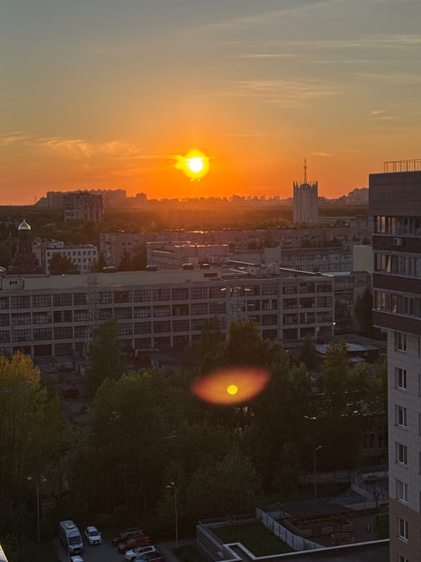 Sunset observed over Saint Petersburg with wilting tulips