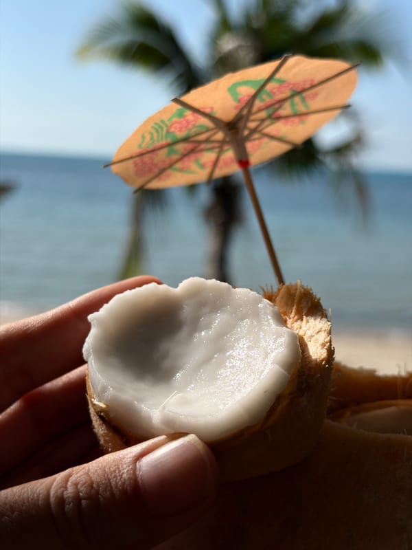 Fresh coconuts and beach swings at Rendezvous, Ko Samui