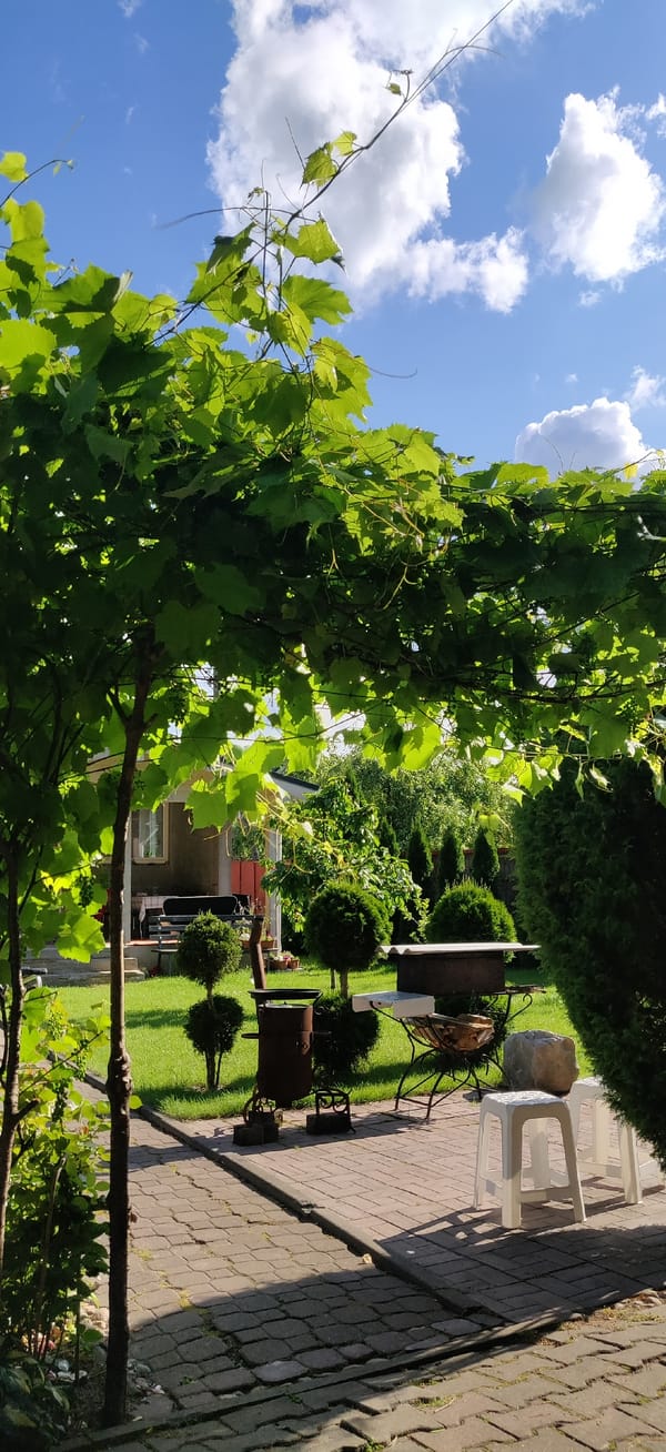 Sunny afternoon walkthrough of a garden and rustic property