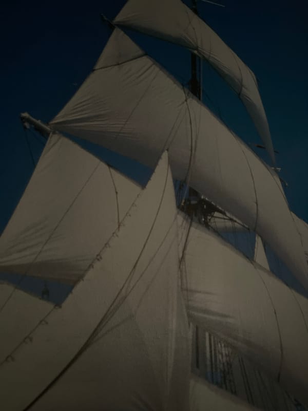 Tall ship with billowing white sails spotted in London
