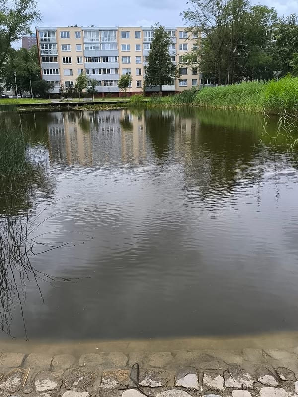 Quiet afternoon at a Klaipėda park pond