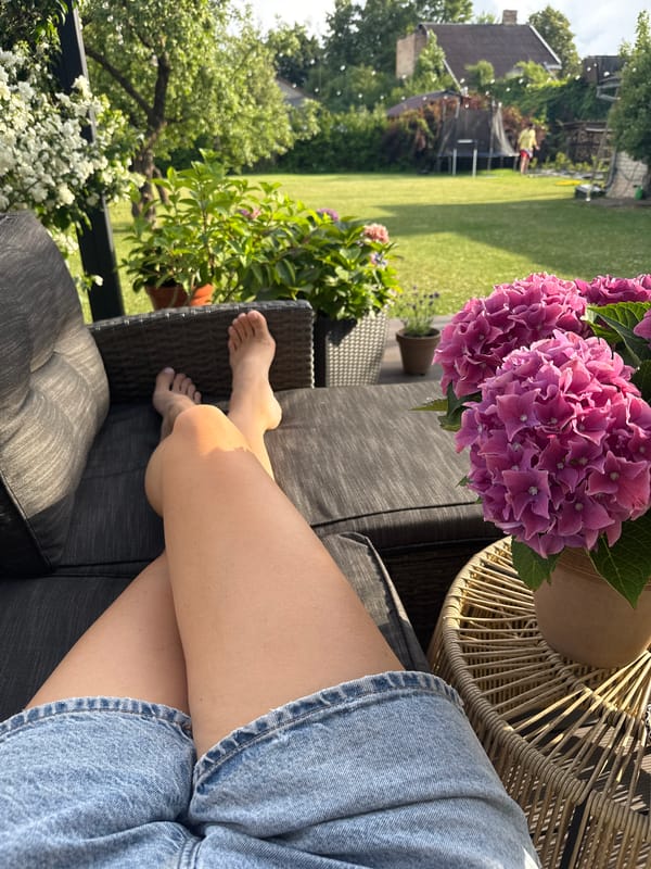 Lazy summer afternoon at home in Carnikava, pets included