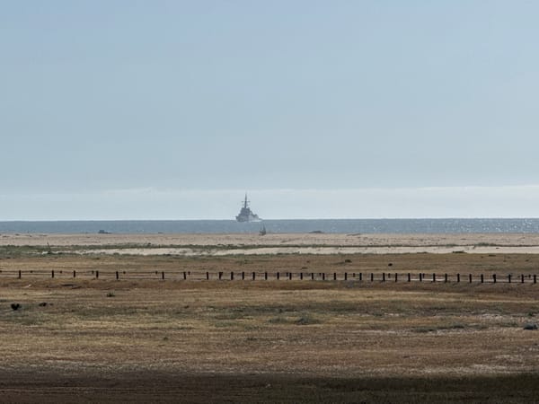 Tourist documents sunny coastal scenes in Figueira da Foz