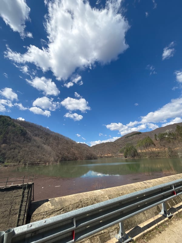 Morning documentation of Bulgarian reservoir and forest landscapes