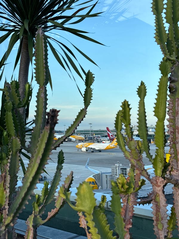 Scoot Airlines aircraft spotted parked at Singapore airport gates