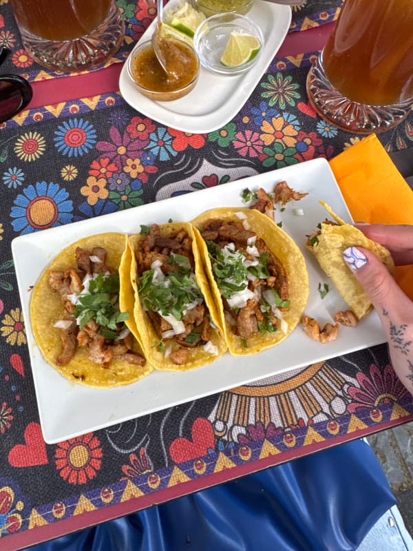 Food scenes documented across Barcelona during afternoon hours
