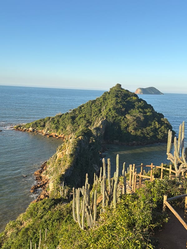 Cactus-lined coastal trail meets the calm Atlantic in Búzios