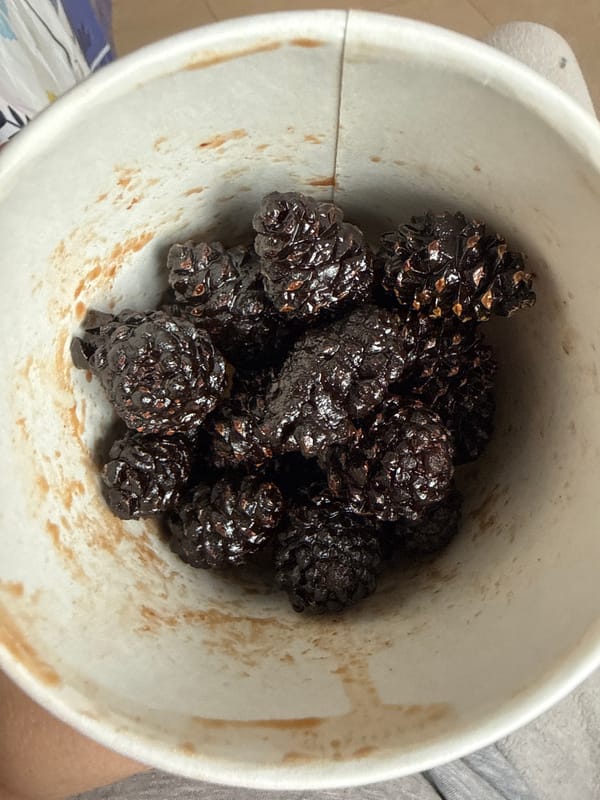 Garden harvest and cooking session documented in 28 memories