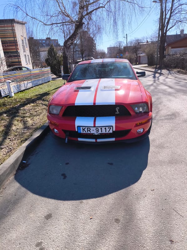 Chick-shaped desserts displayed on tray in Riga
