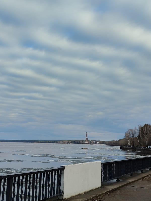 Spring waterfront scene with mallards, melting ice documented by witnesses