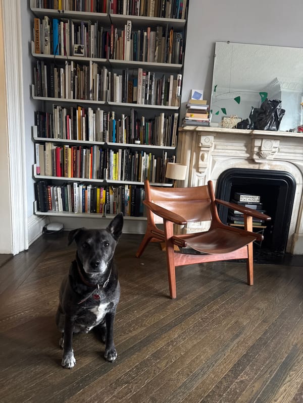 Evening apartment life documented in NYC pre-war residence