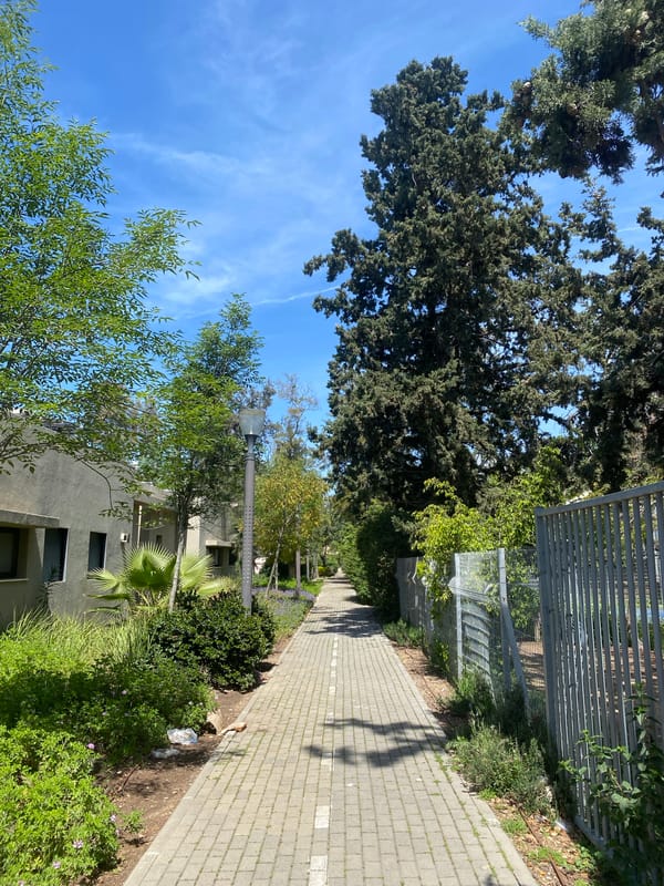 Clear morning pedestrian pathway documented in Kiryat Bialik