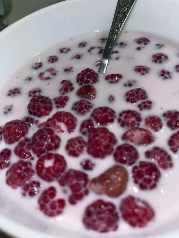 Cats, raspberries, and a quiet afternoon at home in Chaikovsky