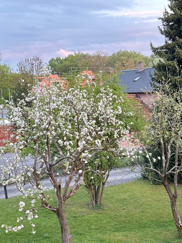 Residential property documented during spring evening hours