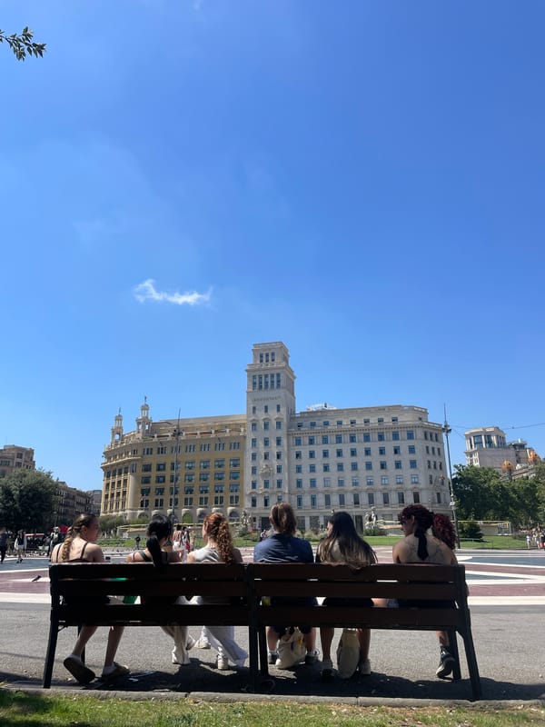 Pigeon feeding frenzy in a sunny Barcelona plaza