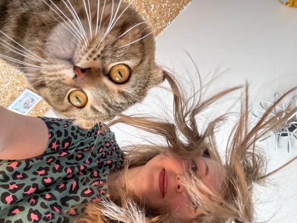 Woman poses with Scottish Fold cat in indoor photo session