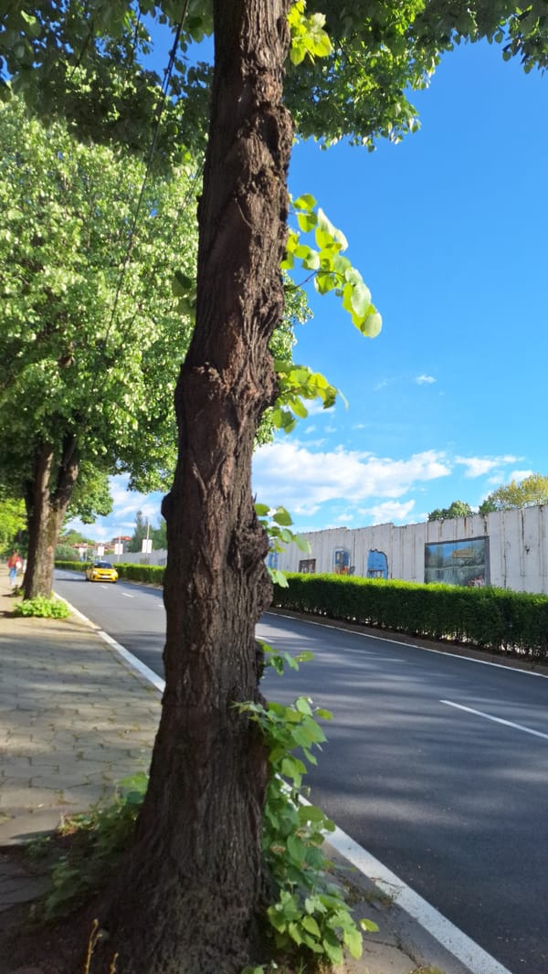 Mixed street scenes and personal moments documented in Blagoevgrad