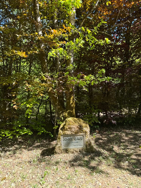 Solo walk through Pétange forests and fields documented
