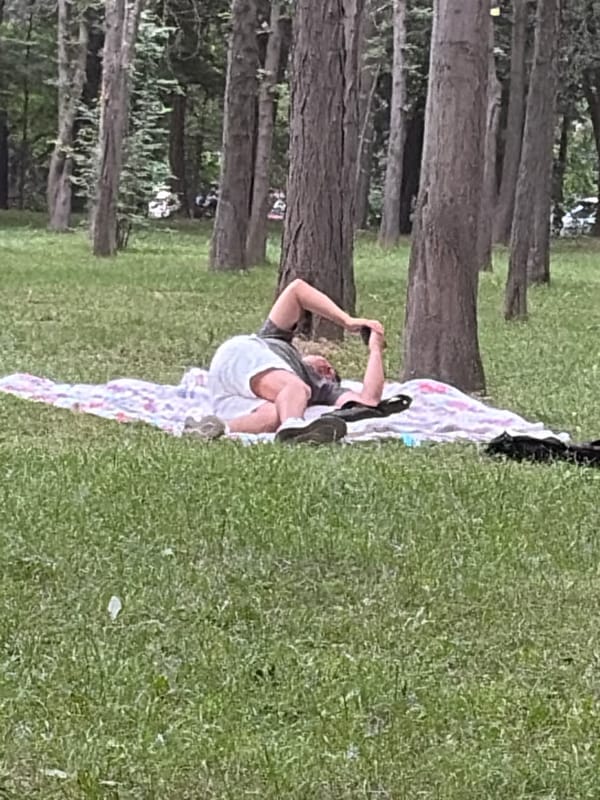 Weekend park gathering features families picnicking, playing, relaxing
