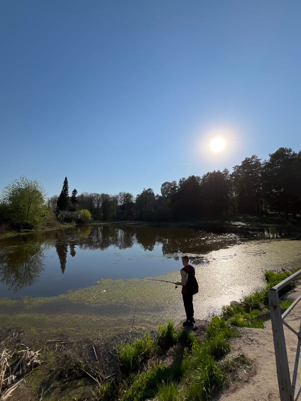 Sunny afternoon activities captured in Chaikovsky, Russia
