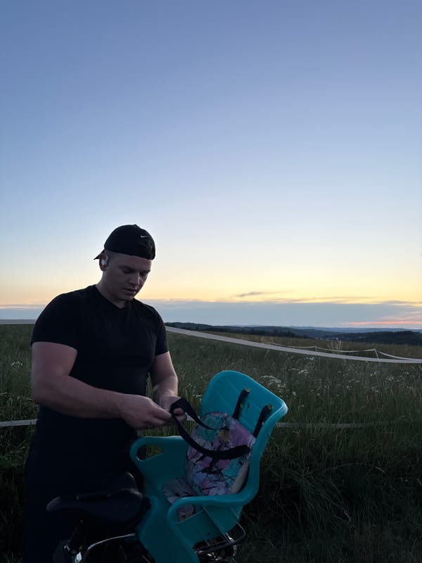 Dusk settles over horses and fields in rural Oberquembach