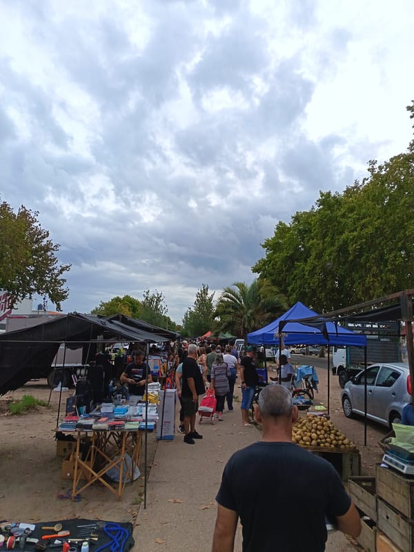 Street market bustling with vendors in Montevideo