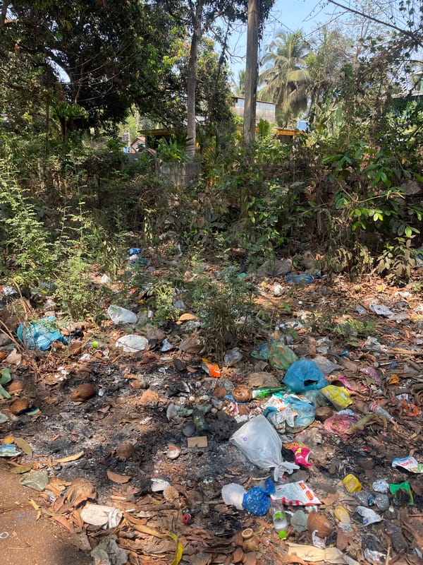 Trash-strewn roadside area documented in Marna, India