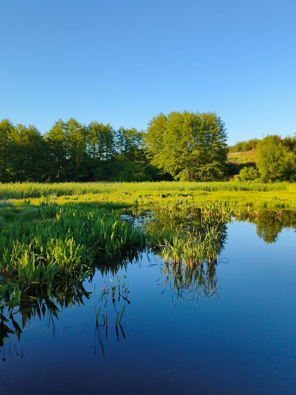 Peaceful water scene documented in Ustyvytsia, Ukraine