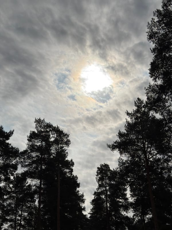 Daily life moments captured in Priežlejas, Latvia countryside