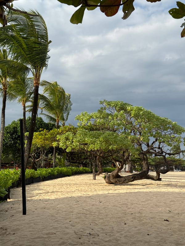 Man relaxes with phone against tree on Kuta beach