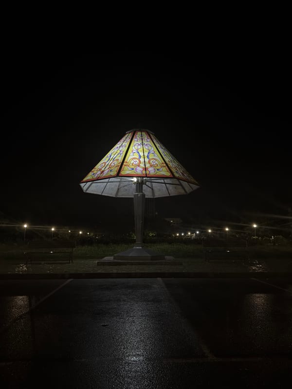 Ornate street lamp illuminates wet Dimitrovgrad streets after rainfall
