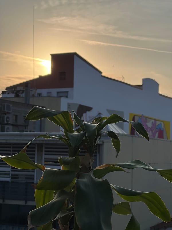 Quiet evening routine documented in Mollet del Vallès
