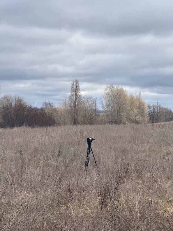 Landscape photograph captures dry vegetation in Kurchatov, Russia
